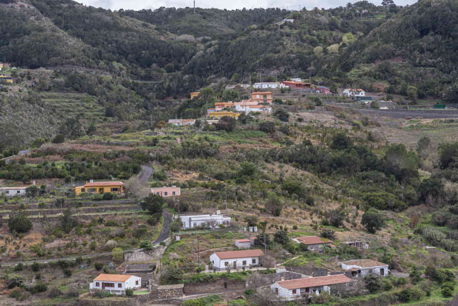 La Gomera 36 .jpg